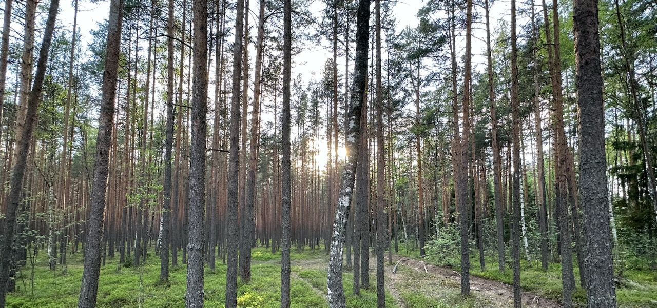 земля р-н Калининский д Савватьево Савватьево Подворье кп фото 4