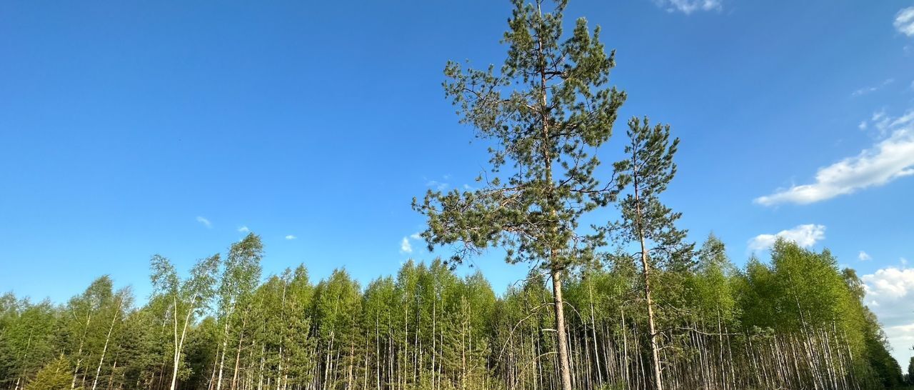 земля р-н Калининский д Савватьево Савватьево Подворье кп фото 3