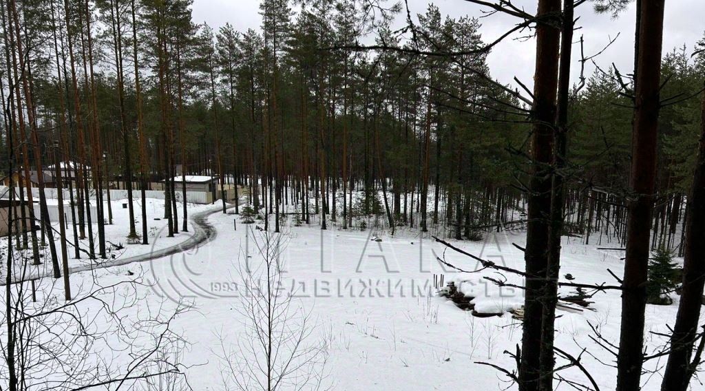 земля р-н Лодейнопольский г Лодейное Поле р-н мкр Каномский 1 фото 1