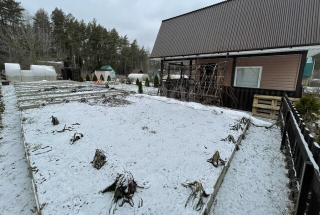 снт Чернево муниципальное образование Новосельское фото