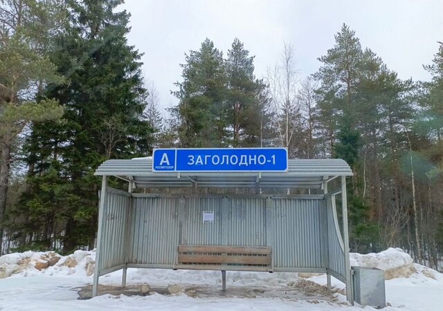 Трасса Вологда — Новая Ладога, Ефимовское городское поселение, Ефимовский фото