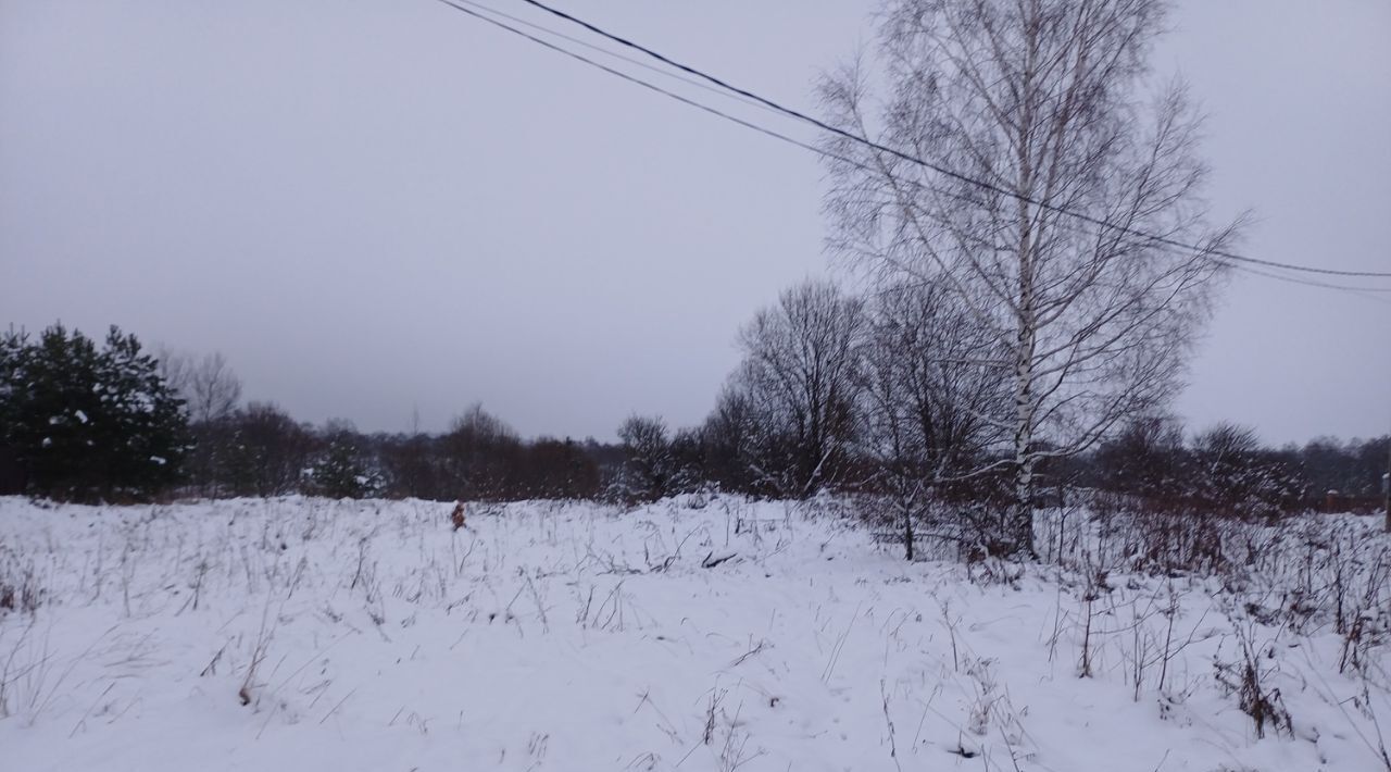 земля городской округ Наро-Фоминский д Алексино ул Заречная фото 1