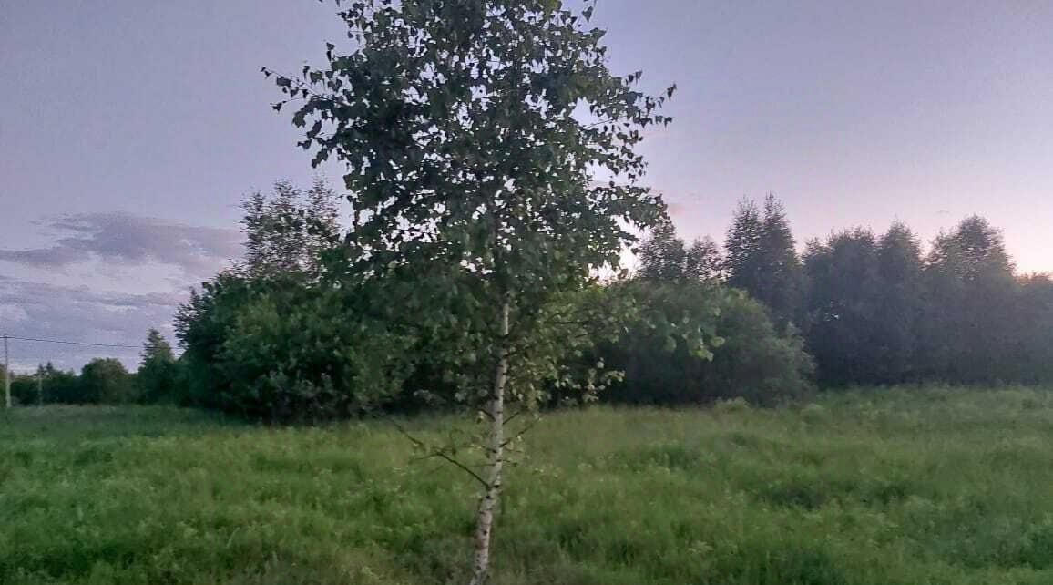 земля городской округ Серпухов с Липицы фото 1