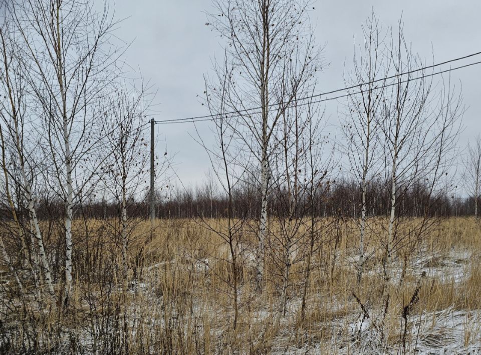 земля городской округ Луховицы п Совхоза Астапово фото 1