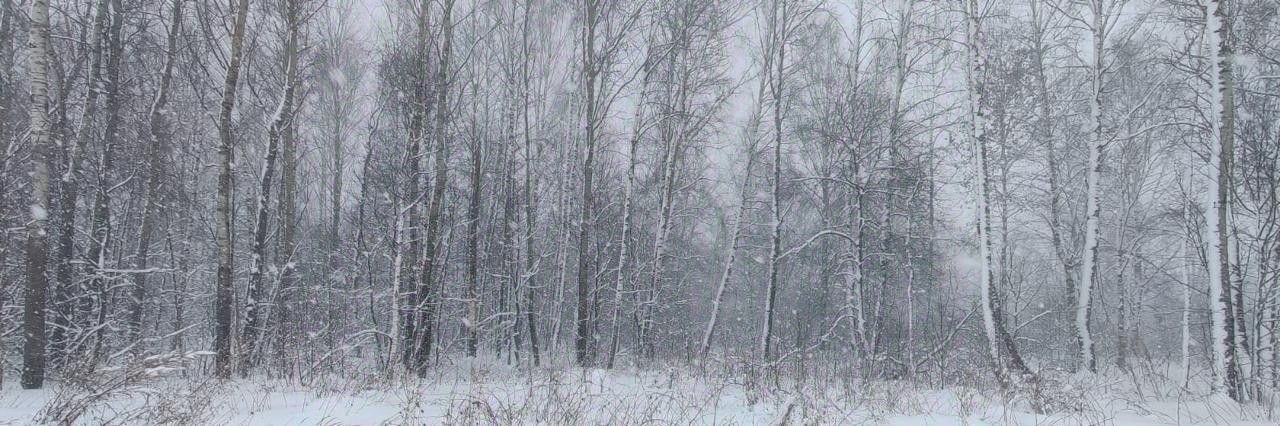 земля городской округ Солнечногорск д Вертлино фото 1