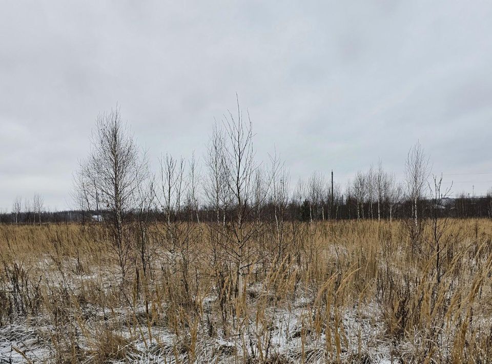 земля городской округ Луховицы п Совхоза Астапово фото 1