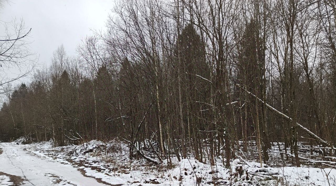 земля городской округ Мытищи д Малое Ивановское Лобня фото 1