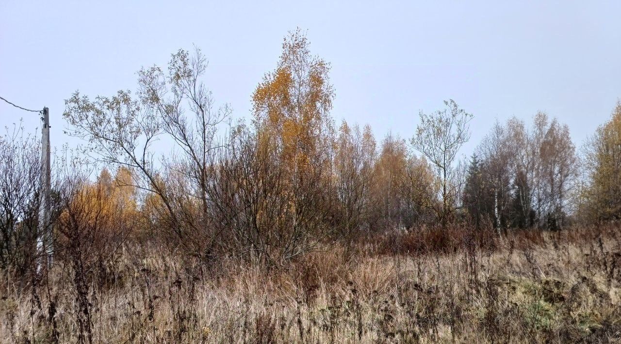 земля городской округ Сергиево-Посадский д Истомино 14 фото 1