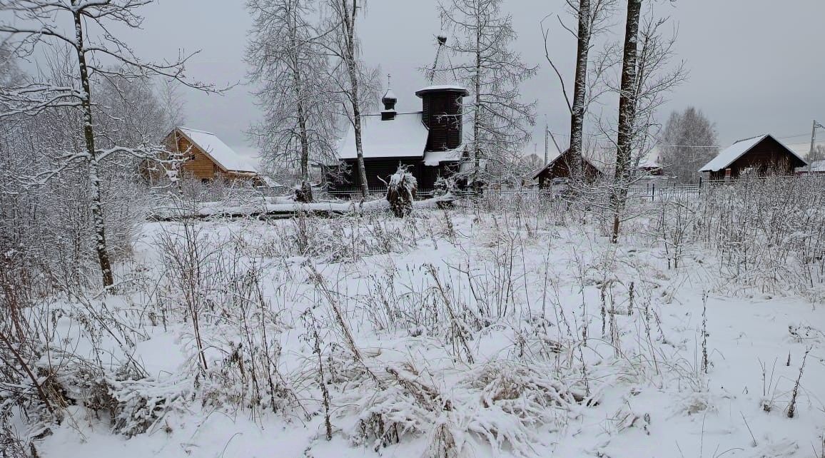 земля городской округ Орехово-Зуевский д Никулино фото 1