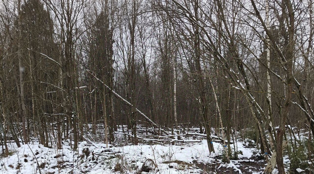 земля городской округ Мытищи д Малое Ивановское Лобня фото 2