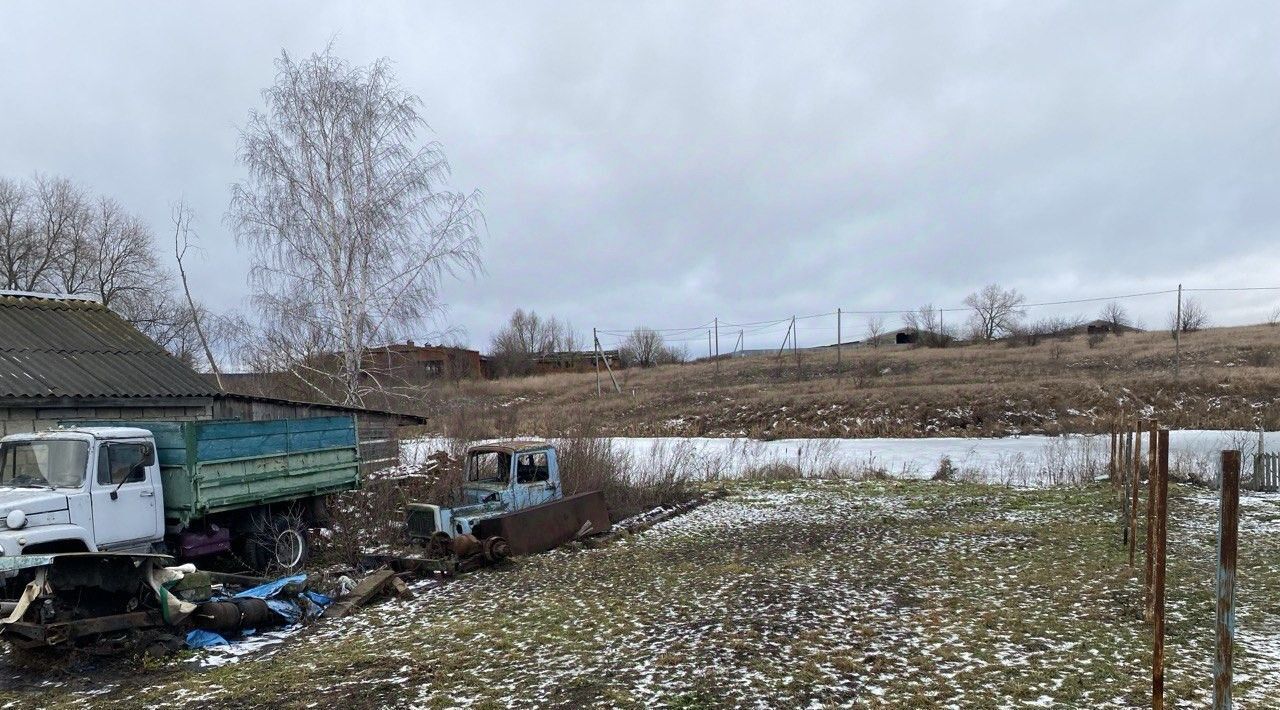 земля городской округ Серебряные Пруды п Дмитриевский фото 2