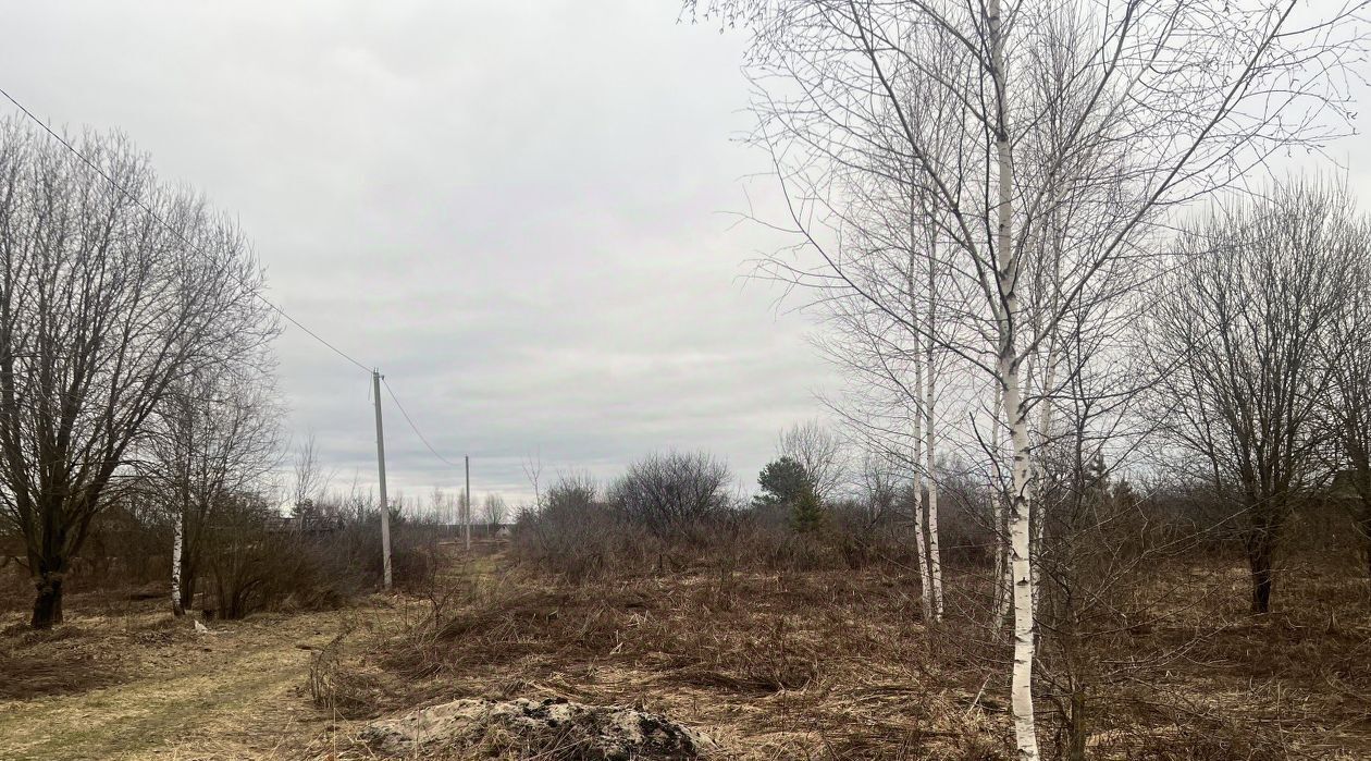 земля г Брянск р-н Володарский тер СО Мечта ул. Виноградная фото 2