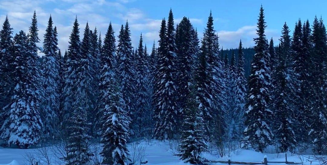 земля р-н Таштагольский пгт Шерегеш Шерегешское городское поселение фото 3