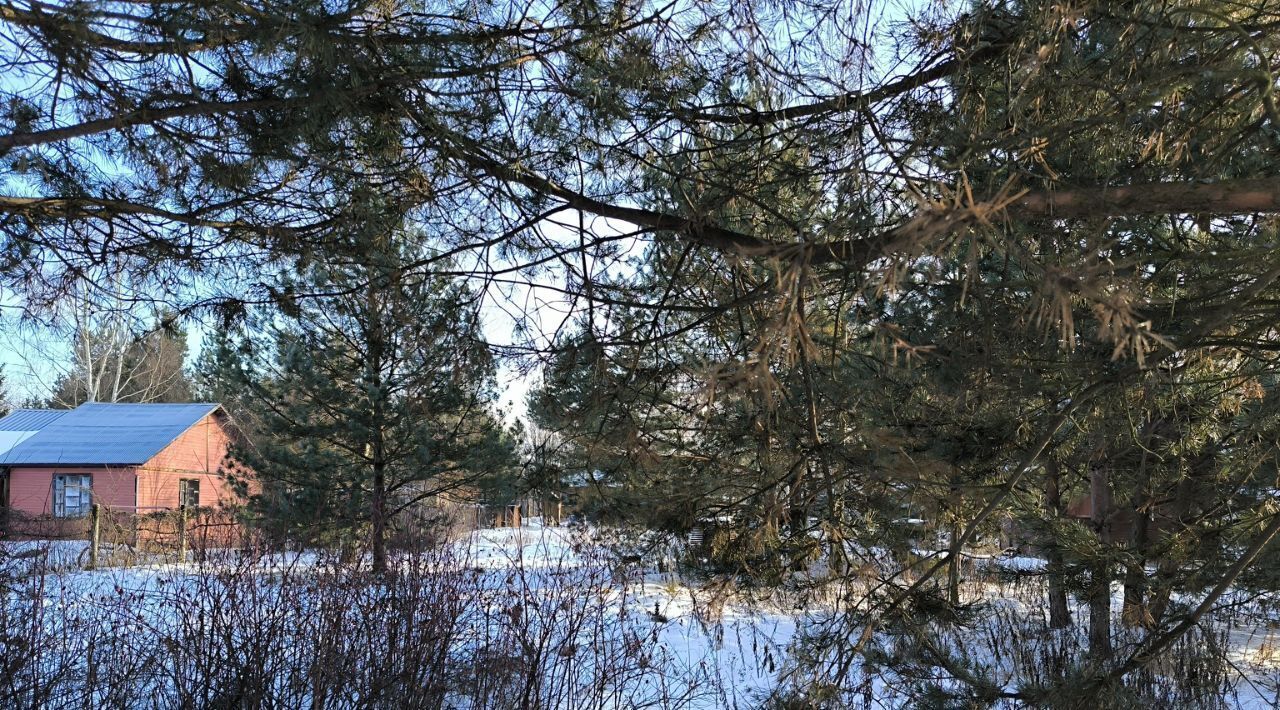 земля городской округ Раменский с Речицы ул Полевая 7 Раменское фото 2