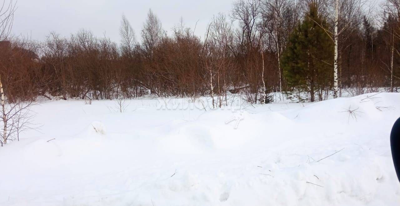 земля р-н Томский с Корнилово мкр Красная горка 2 ул Рождественская Томск фото 1