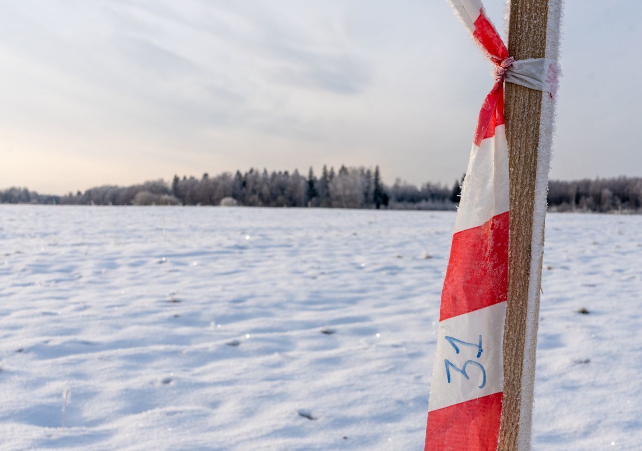 земля городской округ Шаховская с Белая Колпь 111 км, Новорижское шоссе фото 2