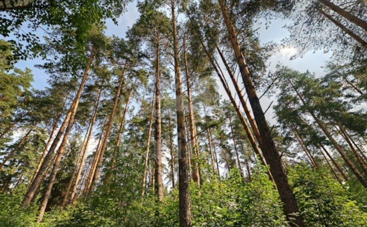 земля городской округ Одинцовский д Барвиха 8 км, д. Жуковка, Рублёво-Успенское шоссе фото 3