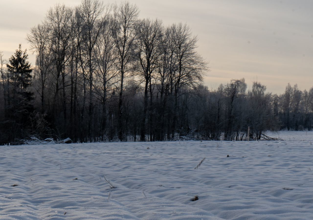 земля городской округ Шаховская с Белая Колпь 111 км, Новорижское шоссе фото 4