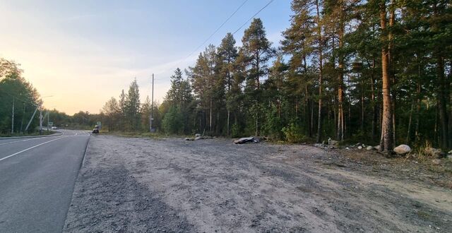 земля Заозерское сельское поселение, Петрозаводск фото