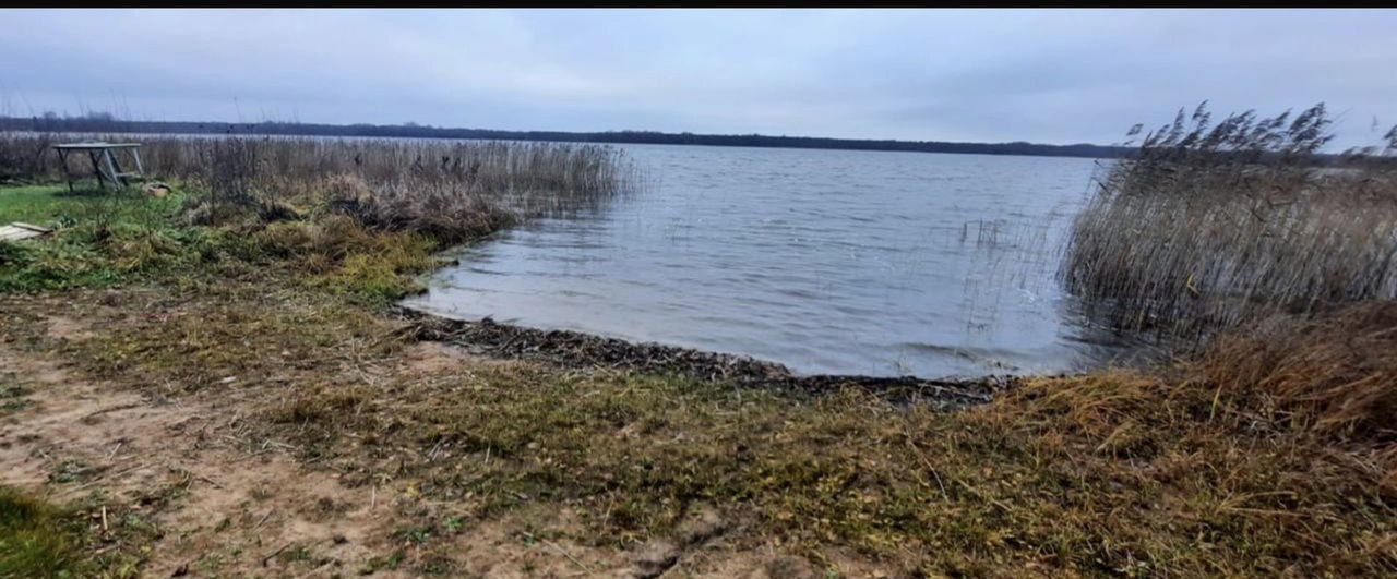 земля городской округ Шаховская рп Шаховская ул Базаева 5а 120 км, Новорижское шоссе фото 1