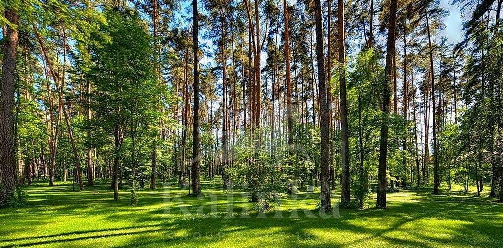 земля городской округ Одинцовский д Жуковка Крылатское фото 2