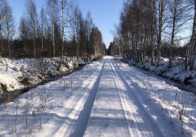 земля снт Поляна ул Сосновая Мурманское шоссе, 21 км, Колтушское городское поселение, Дубровка фото