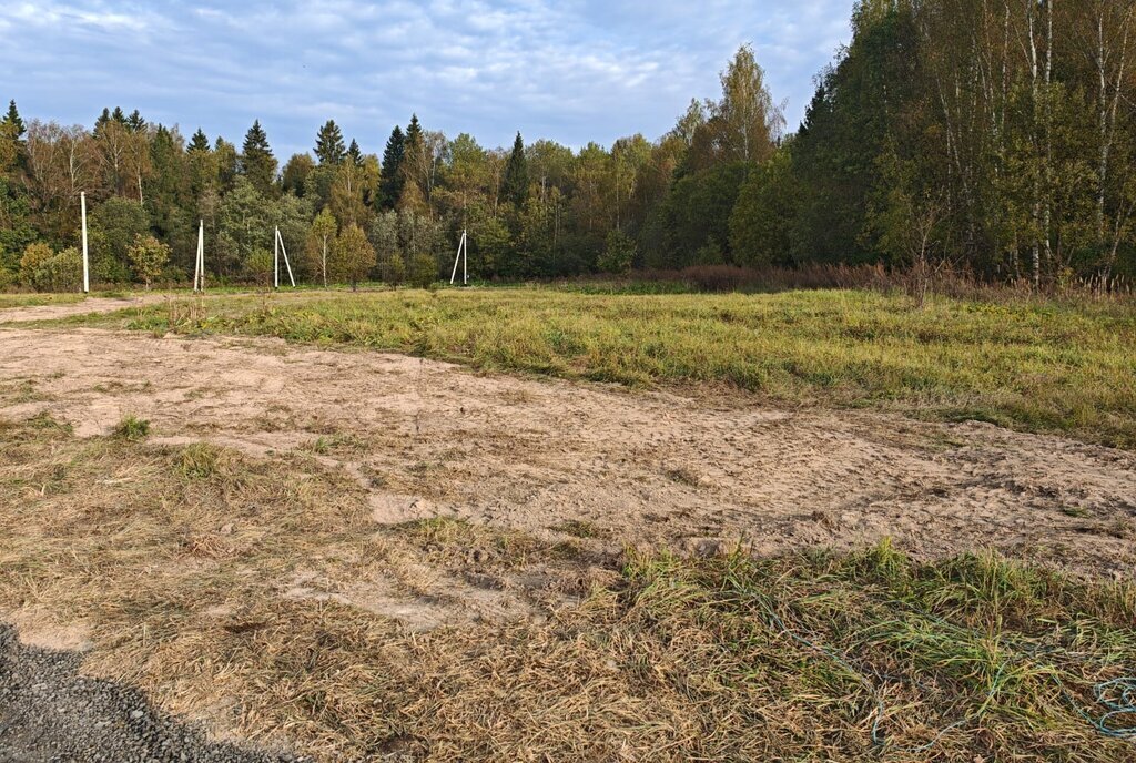 земля городской округ Истра д Рыбушки фото 2