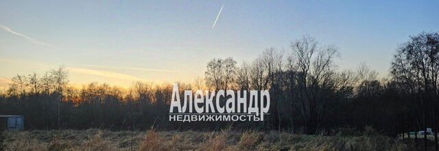 снт Красносельское Лаголовское с/пос, ТСН, Проспект Ветеранов, аллея 11-я, 12 фото