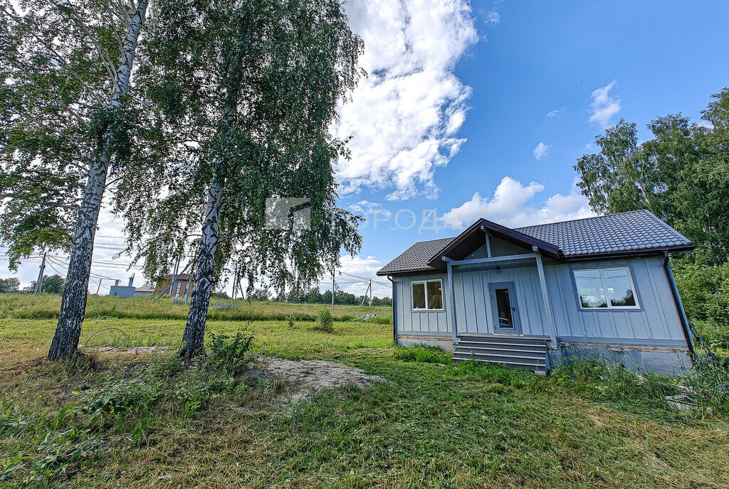 дом г Новосибирск р-н Ленинский Площадь Маркса, Дружная улица фото 19