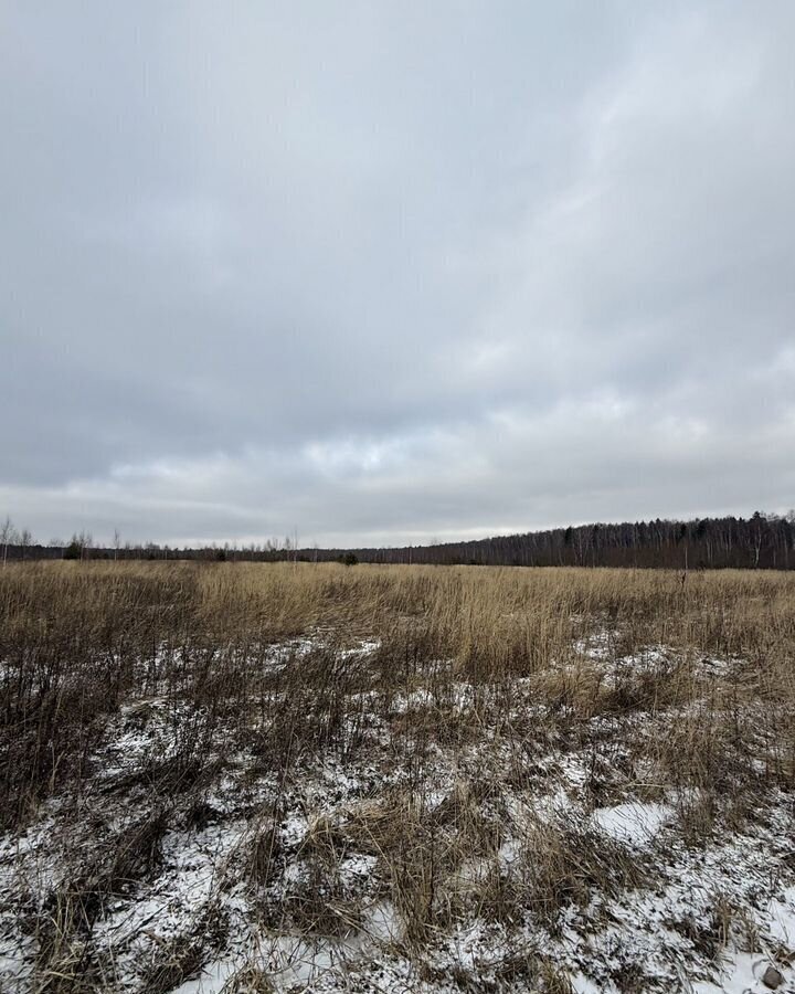 земля г Владимир д Вилки ул Центральная р-н Октябрьский фото 5