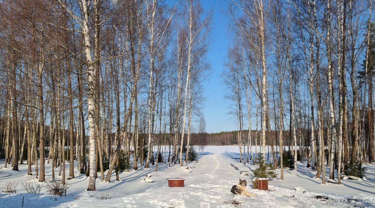 дом р-н Псковский д Елизарово ул Приозерная Середкинская волость фото 2