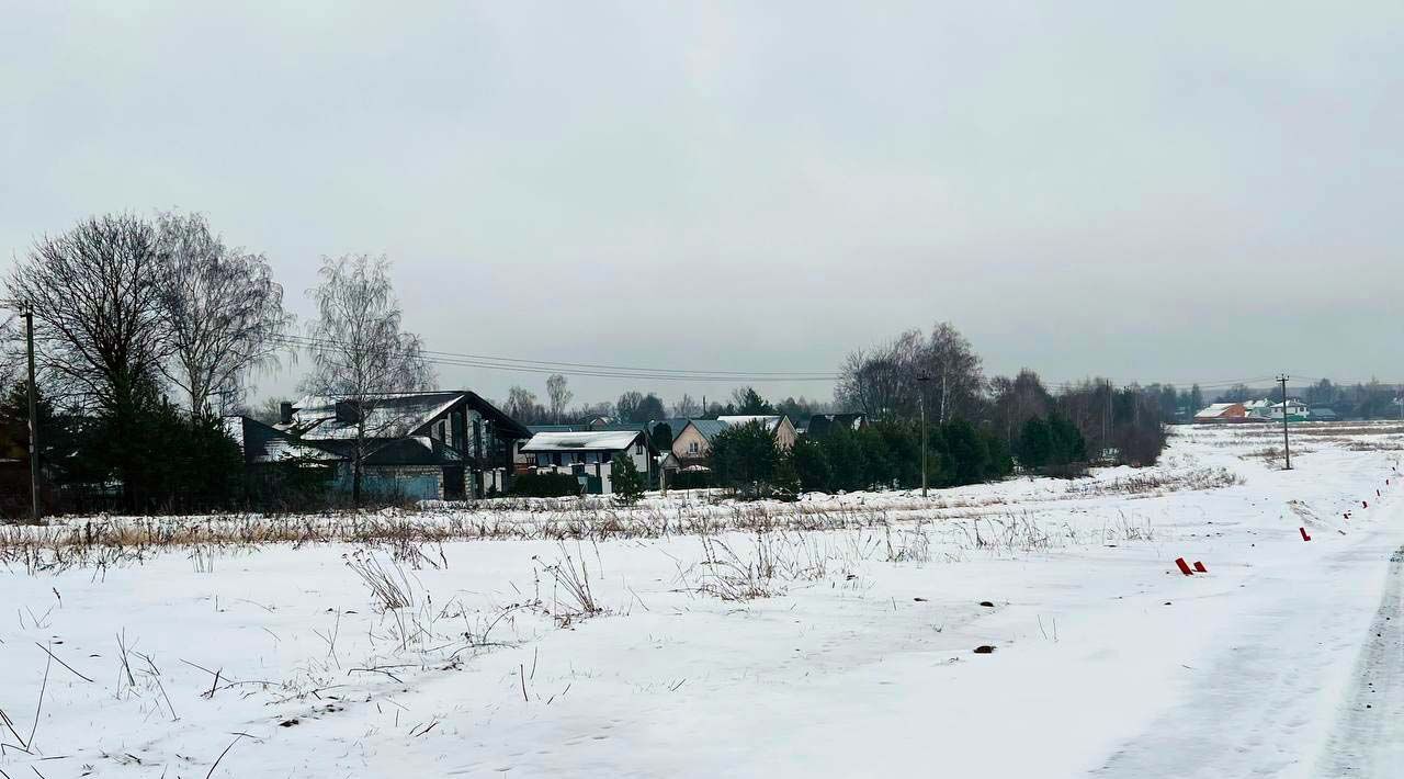 земля городской округ Пушкинский с Братовщина ул. Тихая фото 3