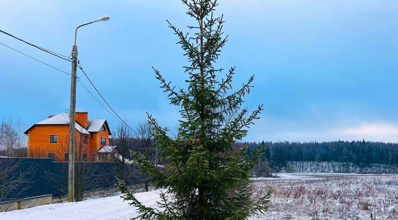 земля г Подольск д Пузиково Подольск фото 1