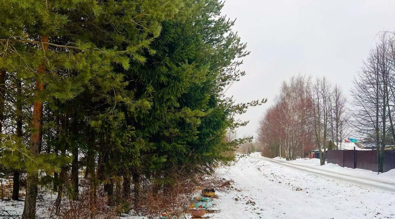 земля городской округ Пушкинский с Братовщина ул. Тихая фото 8