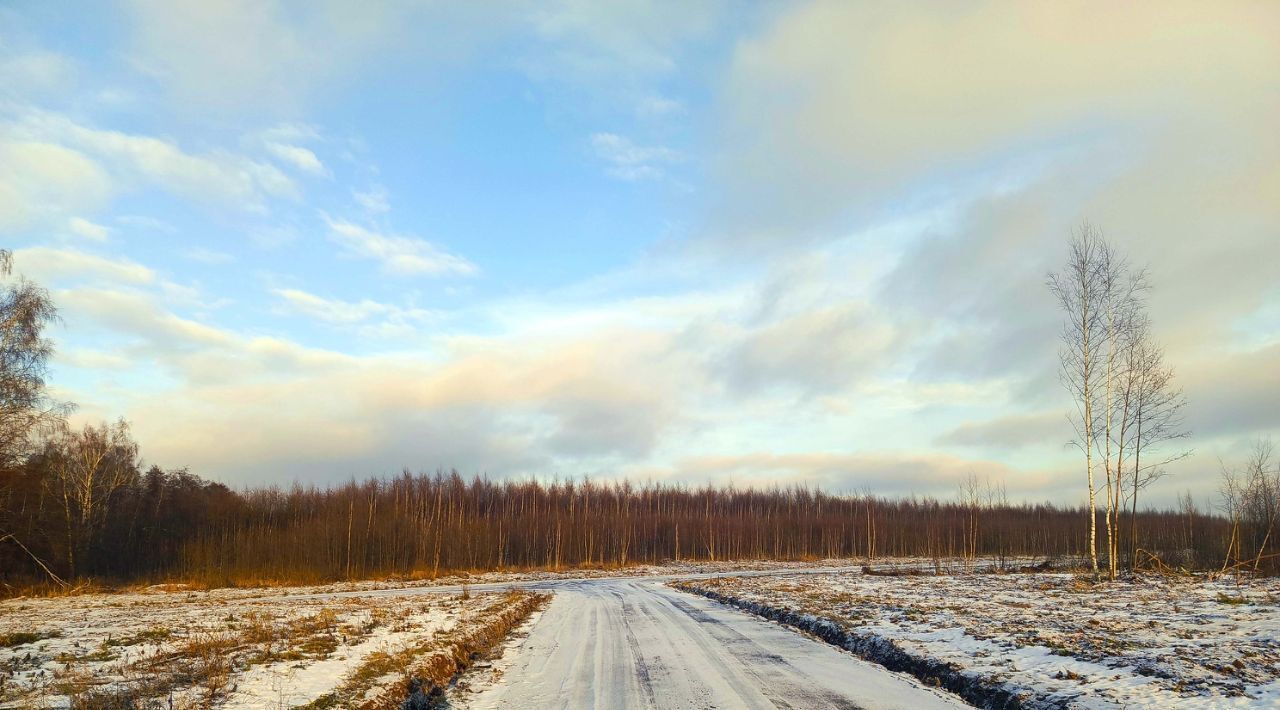 земля городской округ Раменский Оттепель кп, 19 фото 1