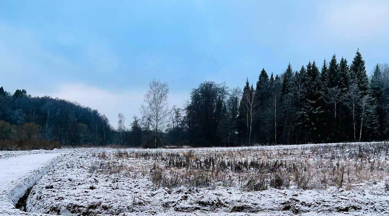 земля г Подольск д Пузиково Подольск фото 21