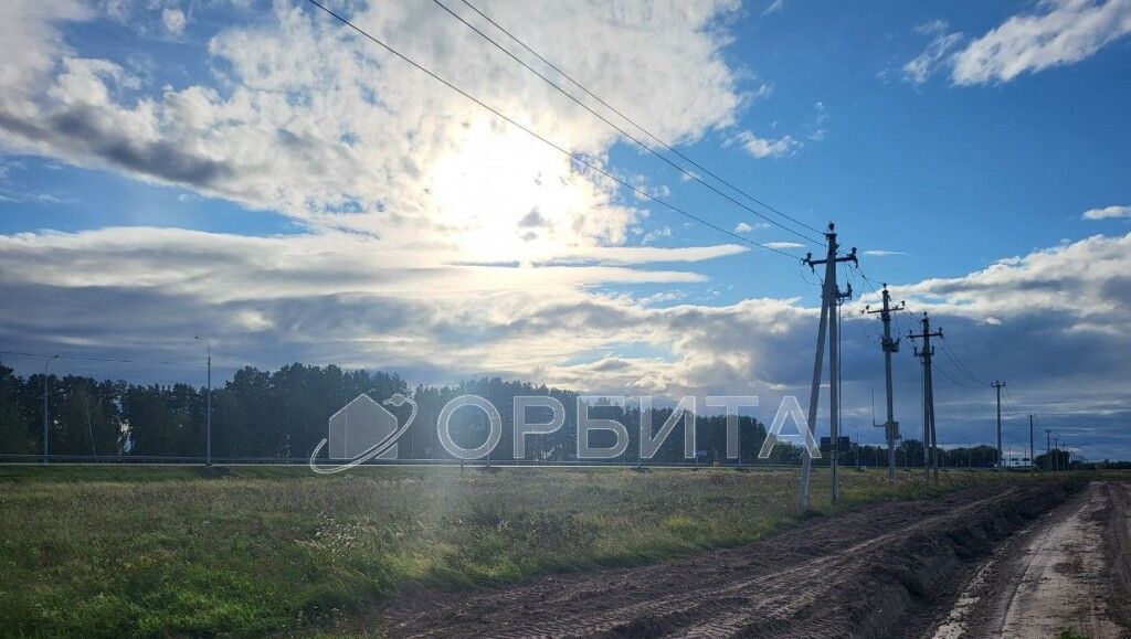 земля р-н Тюменский с Щербак фото 2