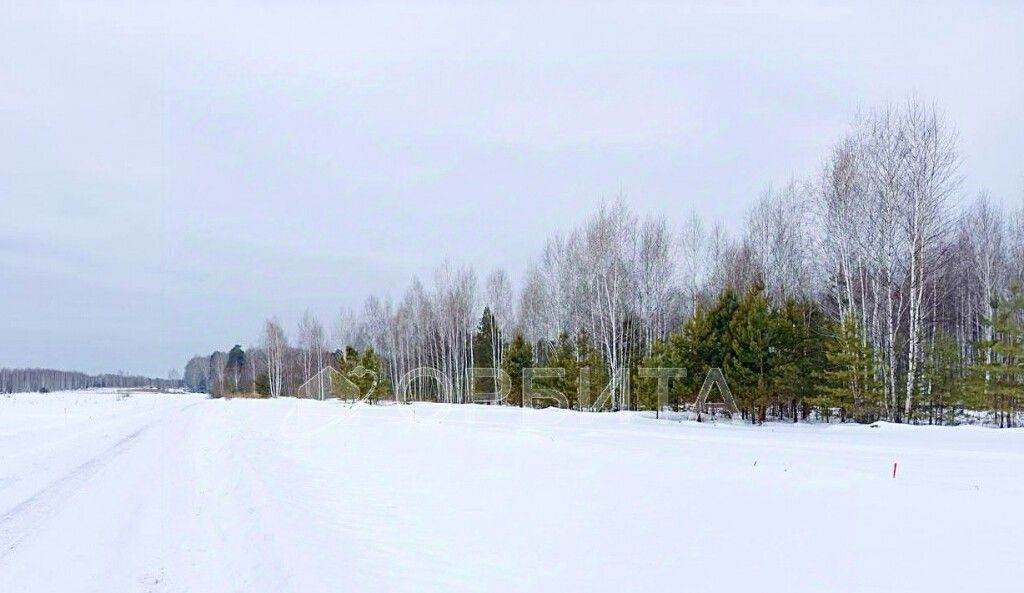 земля р-н Тюменский д Чаплык пер Центральный фото 10