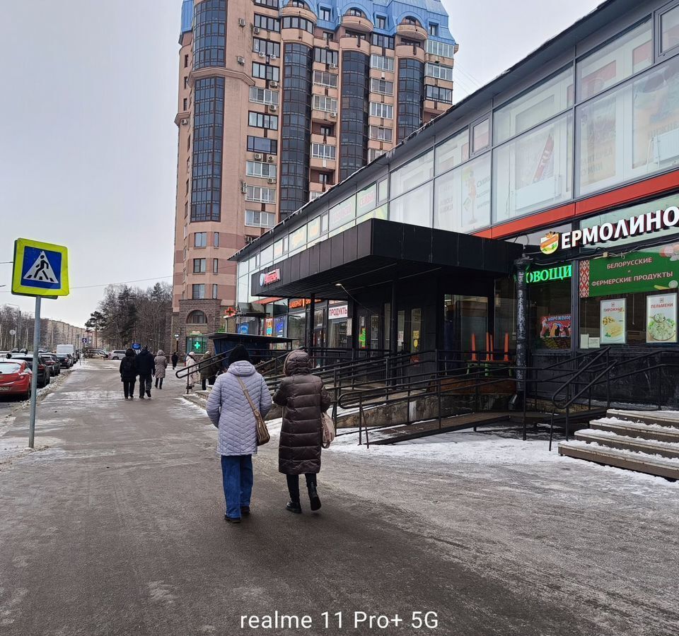 торговое помещение г Санкт-Петербург метро Проспект Ветеранов пр-кт Ветеранов 69 фото 2