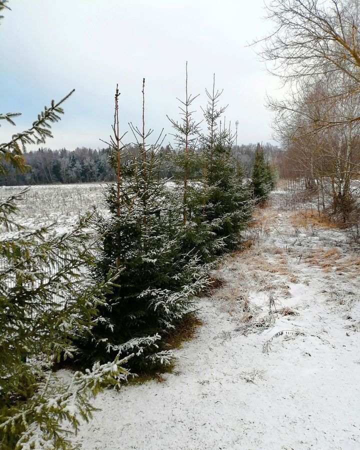 земля городской округ Подольск 24 км, д. Пузиково, Симферопольское шоссе фото 3