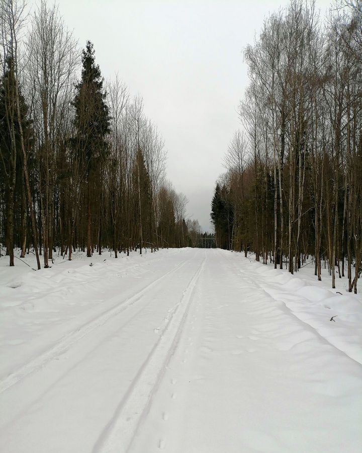 земля городской округ Дмитровский рп Икша 33 км, коттеджный пос. Медведки, Нижняя ул, Рогачёвское шоссе фото 3