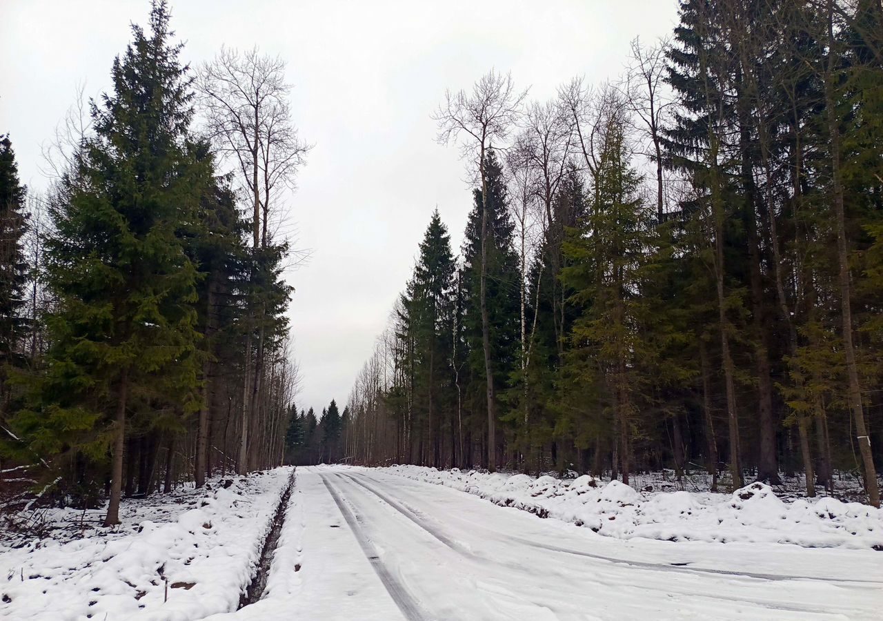 земля городской округ Дмитровский рп Икша 34 км, д. Каменка, Рогачёвское шоссе фото 4