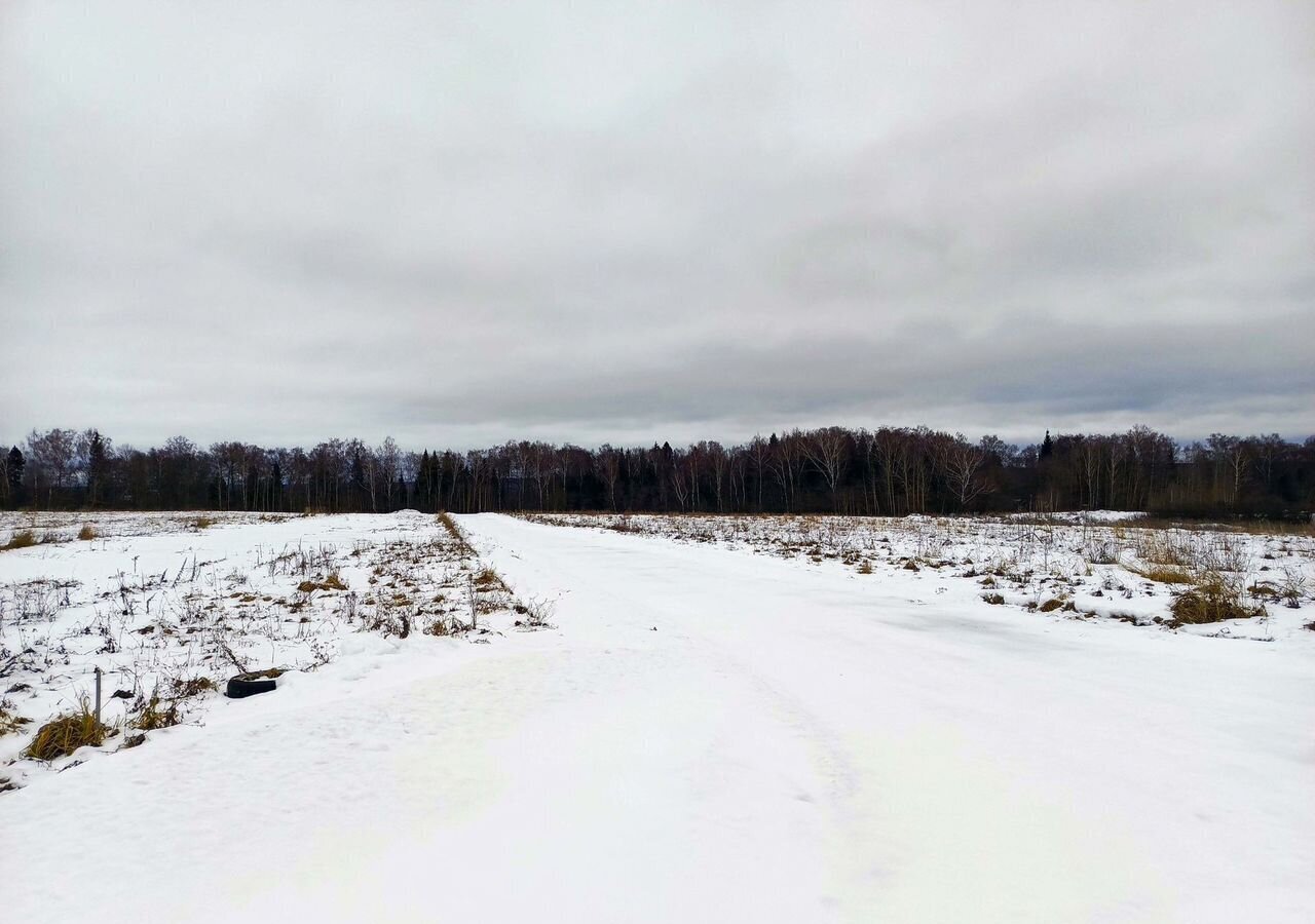 земля городской округ Истра д Куртниково 48 км, Глебовский, Волоколамское шоссе фото 6