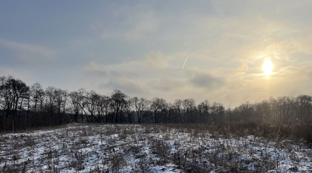 земля городской округ Ступино с Верзилово фото 5