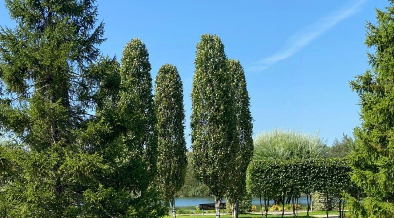 дом городской округ Истра п Красный Поселок, Нахабино, Покровский кп фото 6