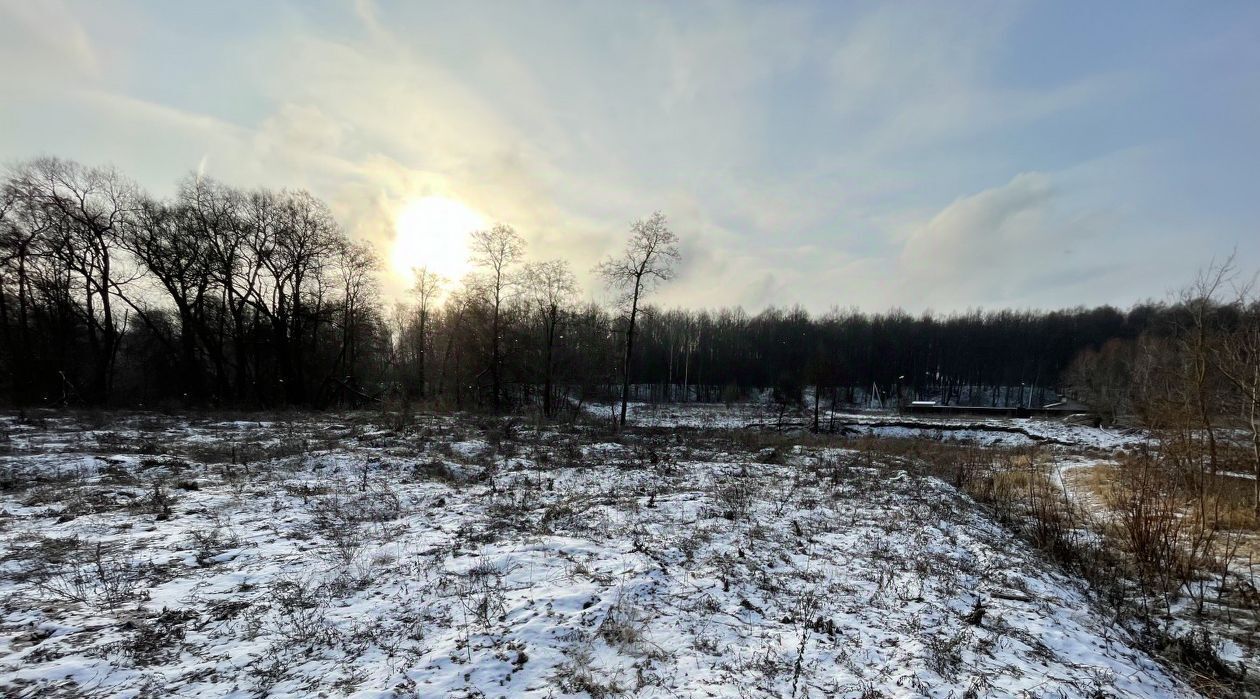 земля городской округ Ступино с Верзилово фото 6