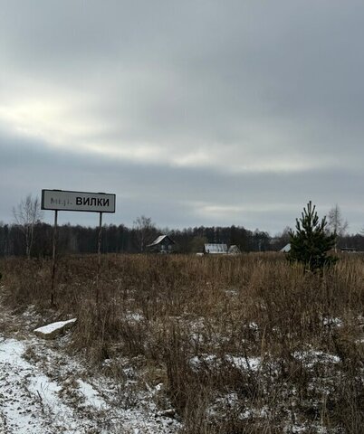 д Вилки ул Центральная фото