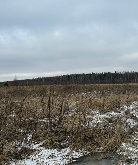 земля г Владимир д Вилки ул Центральная фото 12