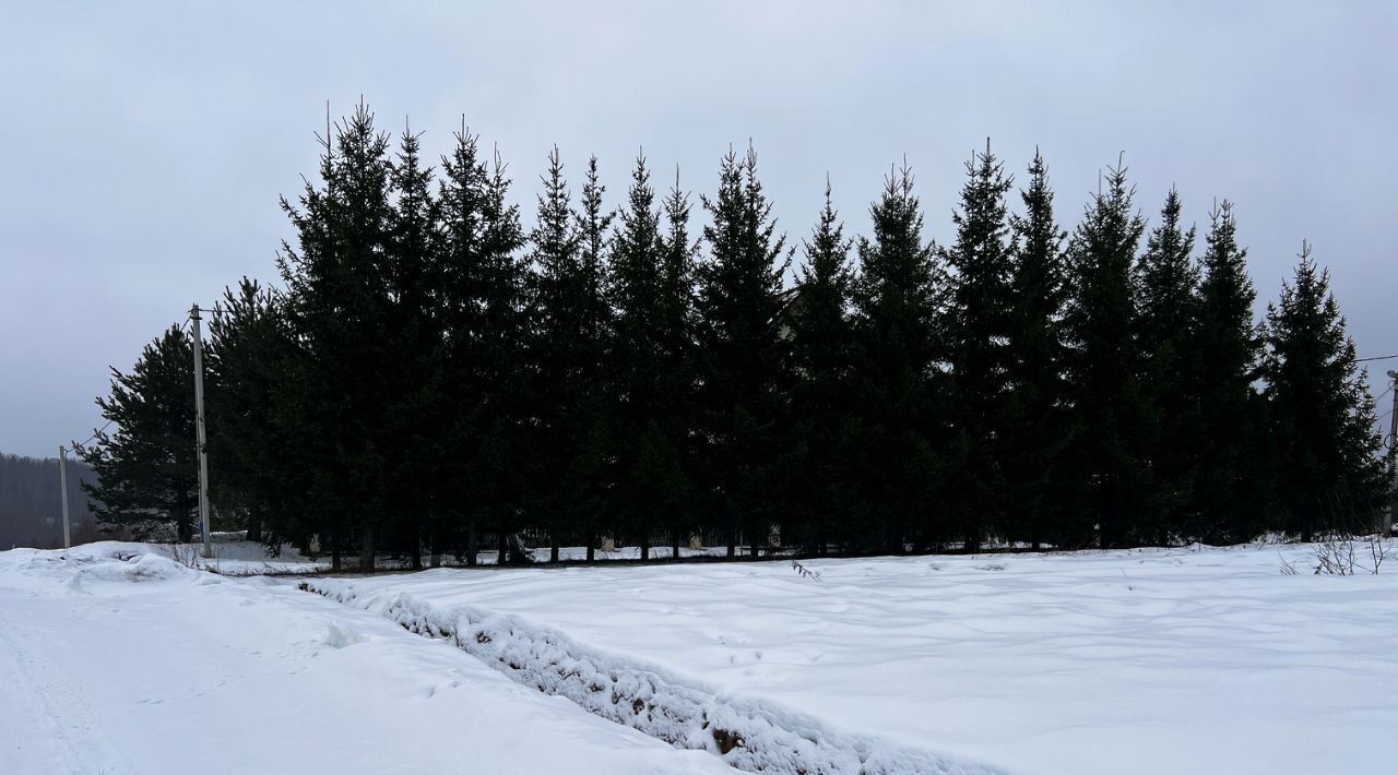 земля городской округ Дмитровский д Сбоево фото 4