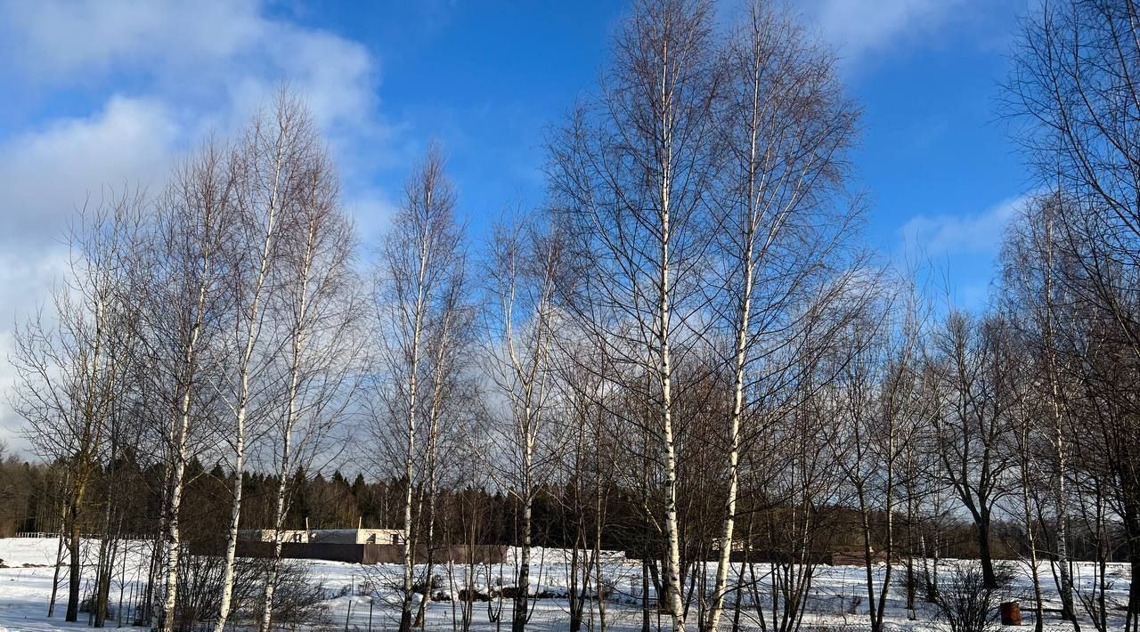 земля городской округ Волоколамский д Калистово ул Изумрудная Пушкинский городской округ фото 1